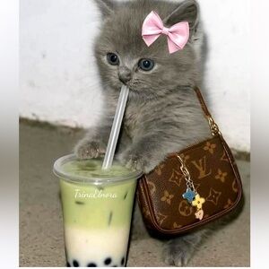 Meet your Posher, La